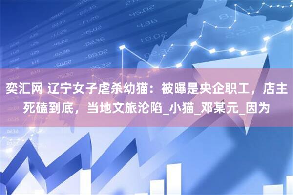 奕汇网 辽宁女子虐杀幼猫：被曝是央企职工，店主死磕到底，当地文旅沦陷_小猫_邓某元_因为