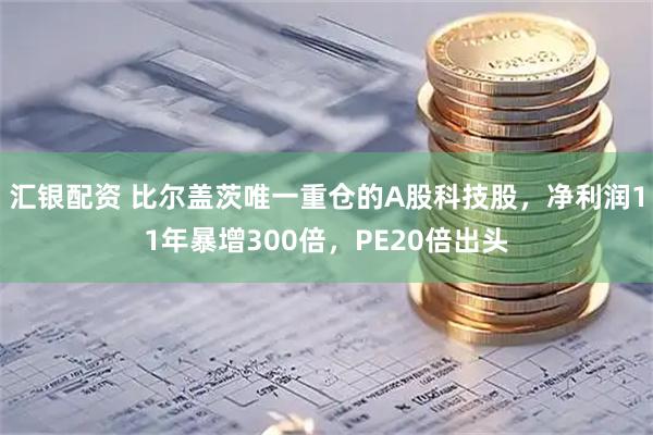 汇银配资 比尔盖茨唯一重仓的A股科技股，净利润11年暴增300倍，PE20倍出头