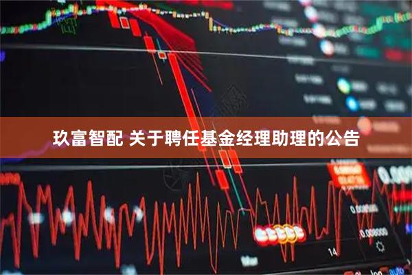 玖富智配 关于聘任基金经理助理的公告